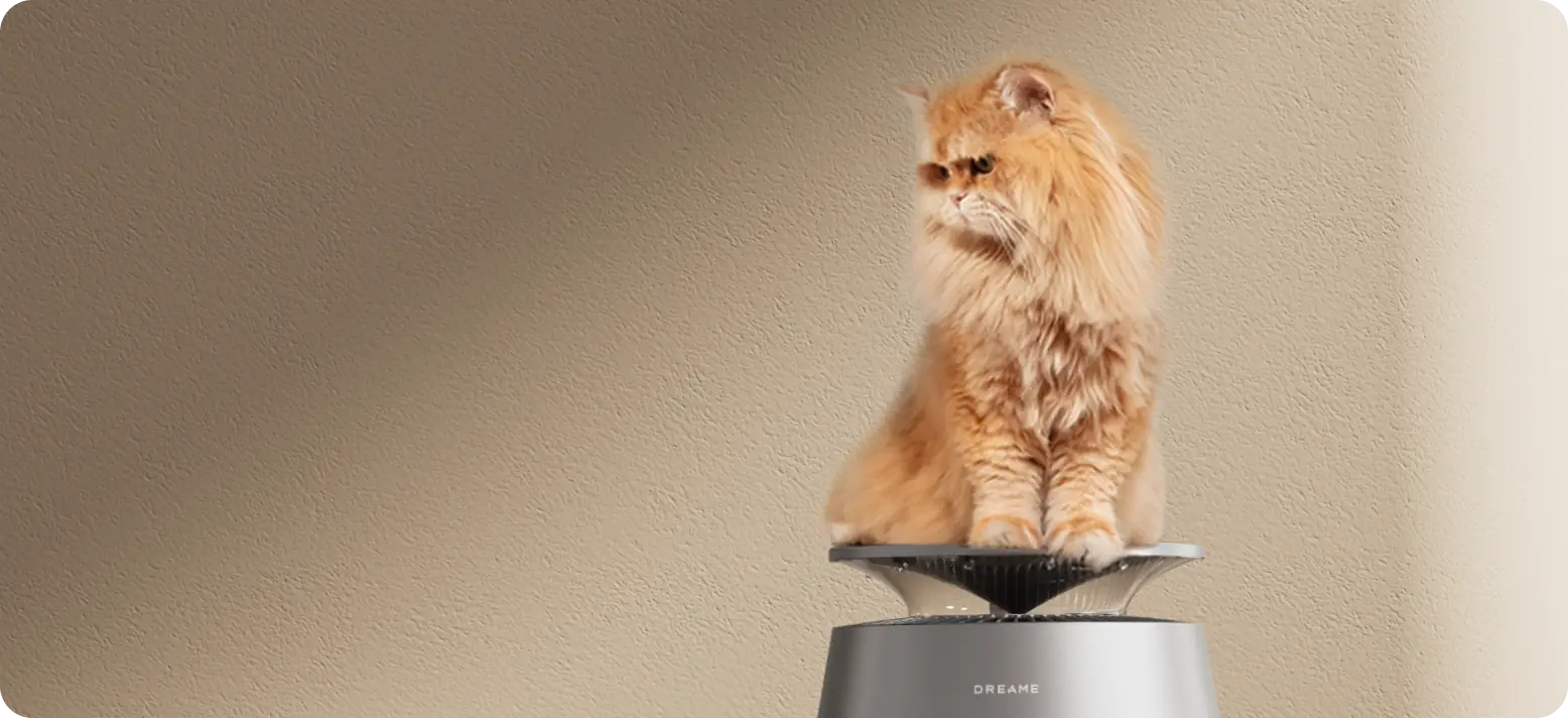 Bio-Comfort Cat Seat Top Cover