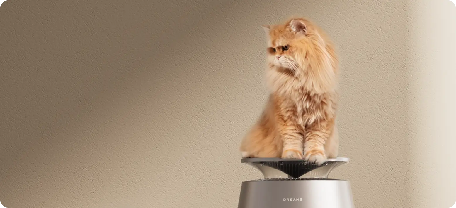 Bio-Comfort Cat Seat Top Cover