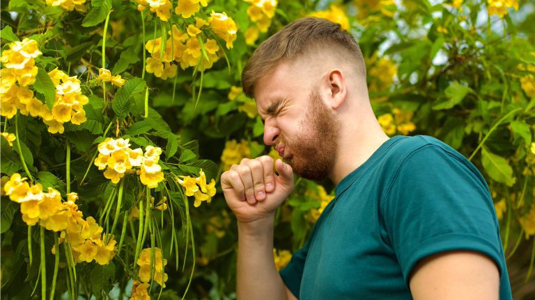 Frequent sneezing may mean you have allergies