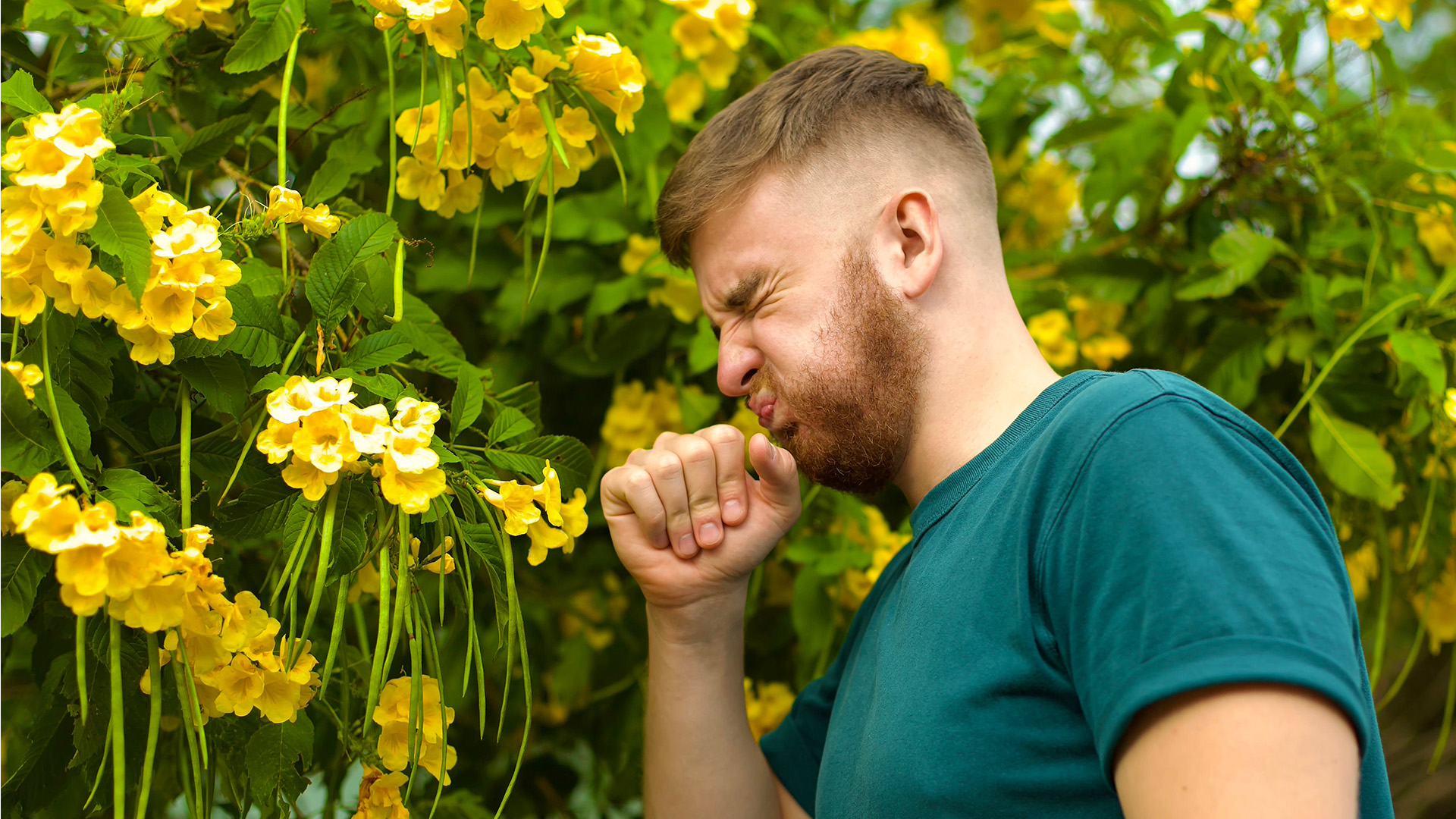 Frequent sneezing may mean you have allergies