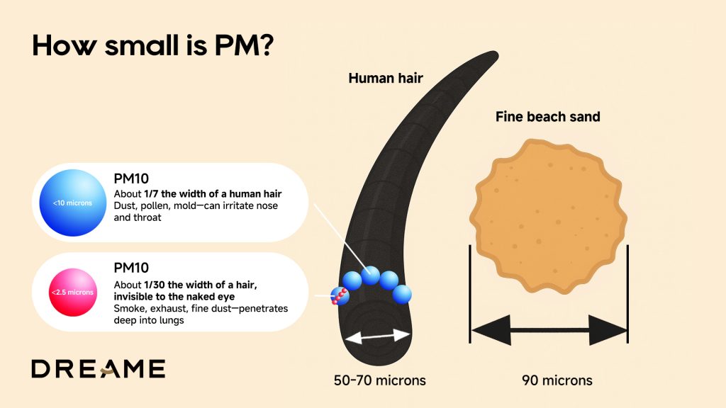 A simple infographic comparing the size of PM2.5 particles (2.5 micrometers) to a human hair (~70 micrometers), dust, or pollen.