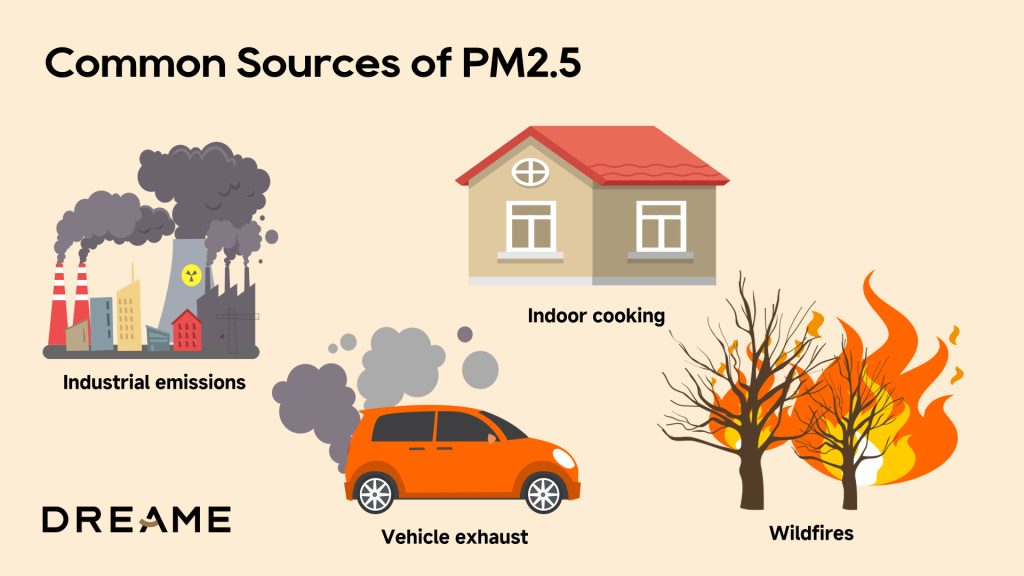 An illustrated diagram showing common PM2.5 sources