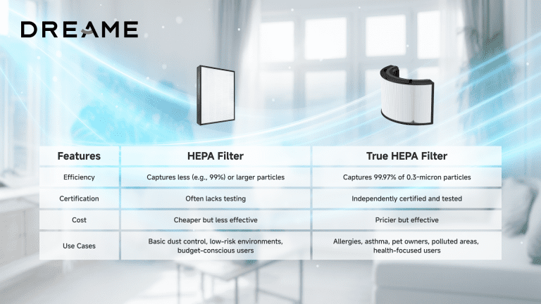 A comparison chart showing the differences between HEPA and True HEPA filters in efficiency, certification, cost, and use cases.