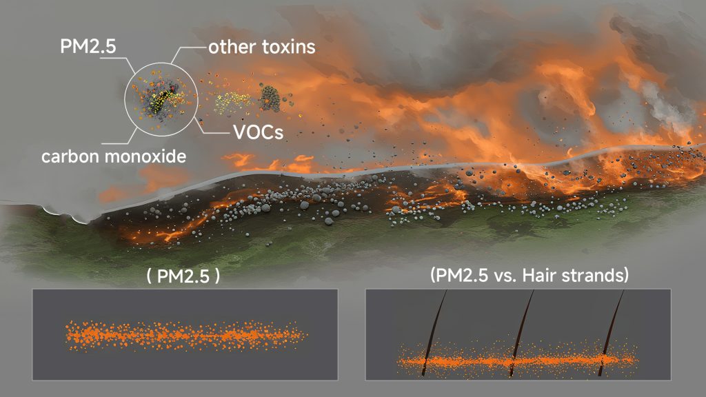 An infographic illustrating the composition of wildfire smoke, showing PM2.5 particles, VOCs, and other toxins.